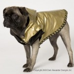 dog vinyl rain jacket
