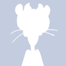 Users avatar image